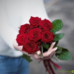 7 красных роз (5)
